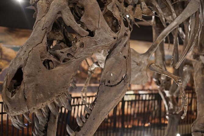 Dinosaur World Theme Park - Visitor Reviews and Feedback