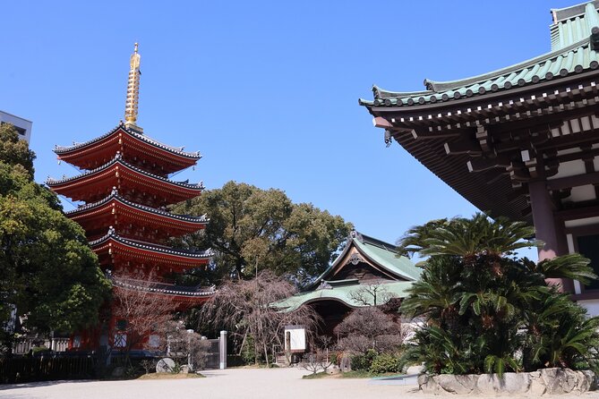 Discover the Charms of Fukuoka - Stroll Through the Serene Ohori Park