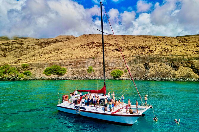 Discover the Magic of Coral Garden's Turtle Town - Maalaea Harbor - Gear Up for Underwater Exploration