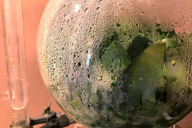 Distillation of Okinawa Herb Essential Oil and Herbal Water - Herbal Water Production
