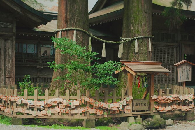 Divine Footsteps & Anime Locations: Takachiho One Day Bus Tour - Participant Guidelines