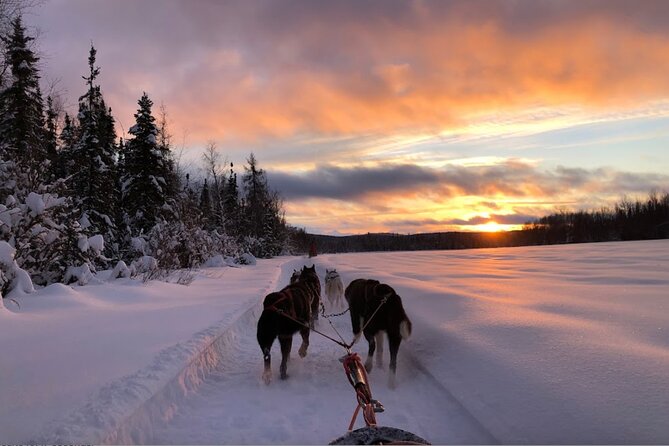 Dogsled Rides - Inclusions and Exclusions