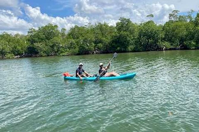 Dolphin and Manatee Kayak Tour of Daytona Beach - Wildlife Sightings