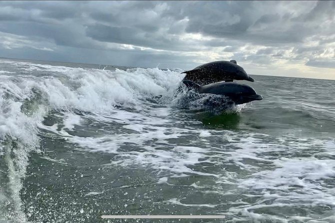 Dolphin Tours - Fort Myers Beach / Naples - Booking and Cancellation Policy
