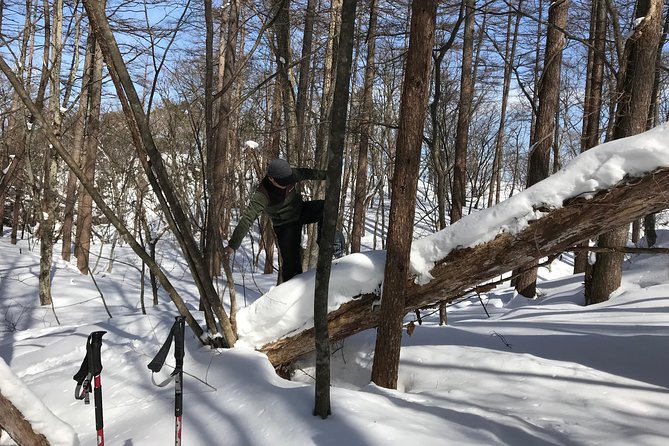【5 Minutes From Water Ic】 Snow Trekking Half-Day Tour to Enjoy Japanese Snowscapes - Choosing the Right Gear