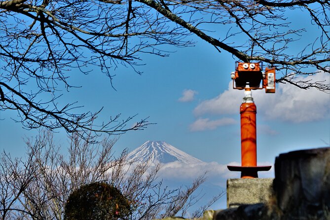 Early Blooming Cherry Blossoms & Fruit Picking 1DAY Tour - Preparation and Guidelines