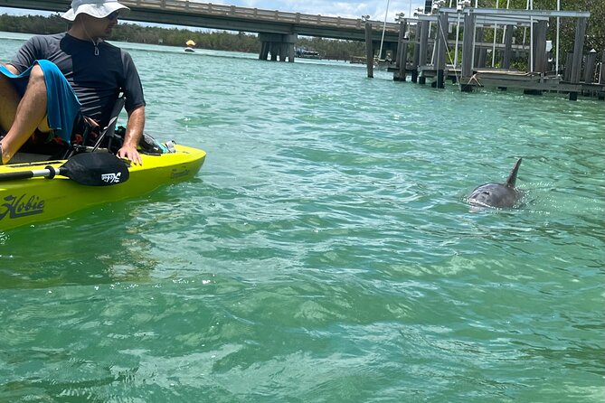 Elite Hobie Kayak Experience: Ultimate Premium Eco Adventure! - Meeting and Pickup Information