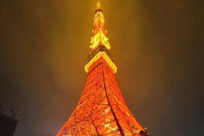 English-Speaking Guided Day Tour of Tokyo With a Private Vehicle - Accessibility