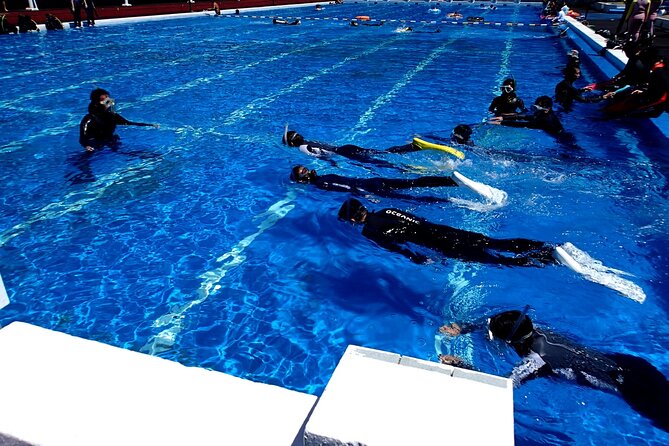 Enjoy Diving in Izu,Discover Scuba Diving for Nondiver. - Included Amenities