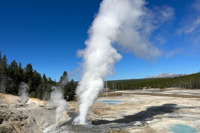 Epic Yellowstone Private Tour - Wildlife Viewing Opportunities