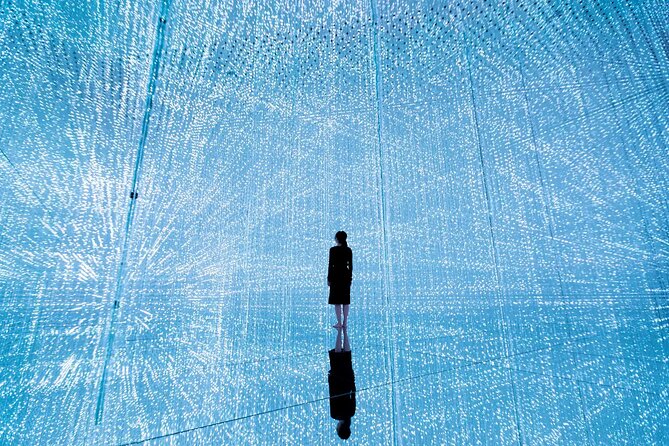 Experience TeamLab Planets in Tokyo - Visitor Experiences