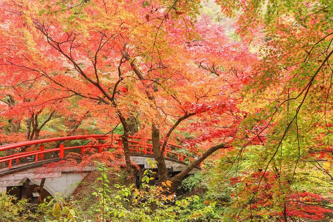 Explore Ninja Town Walking in Gunma From Tokyo - Cancellation and Liability Policy