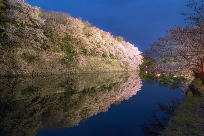 Explore the Historic Castle Town of Hikone From Osaka - Dining on Local Cuisine