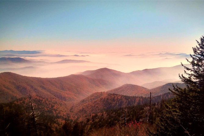 Fall Color Tour in the Smoky Mountains - Booking Information and Cancellation Policy