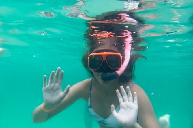 Family Friendly Snorkeling and Dolphin Tour - Dolphin Watching and Snorkeling Experiences