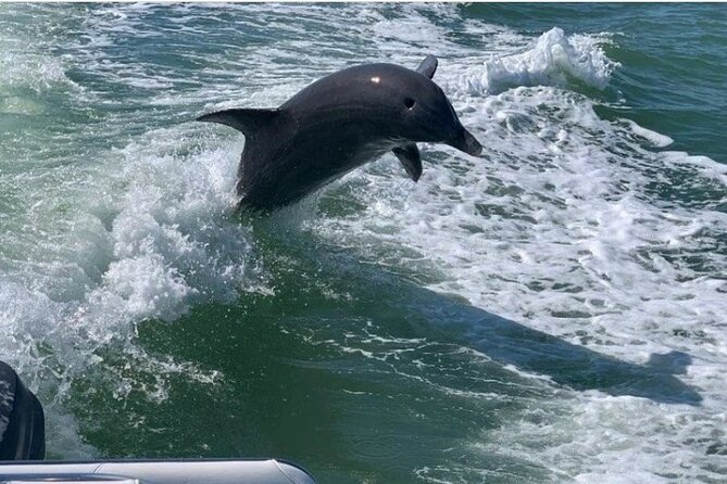 Floridas Beautiful Beaches and Waterways Private Tour - Enjoying Water Activities and Beach Relaxation