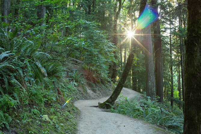 Forest Park Hiking Tour to Pittock Mansion - Health and Safety Considerations
