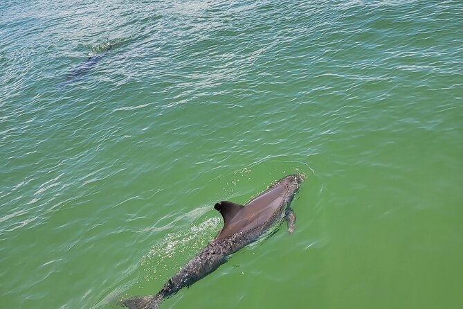 Fort Myers Beach Sunset Excursion - Customer Reviews