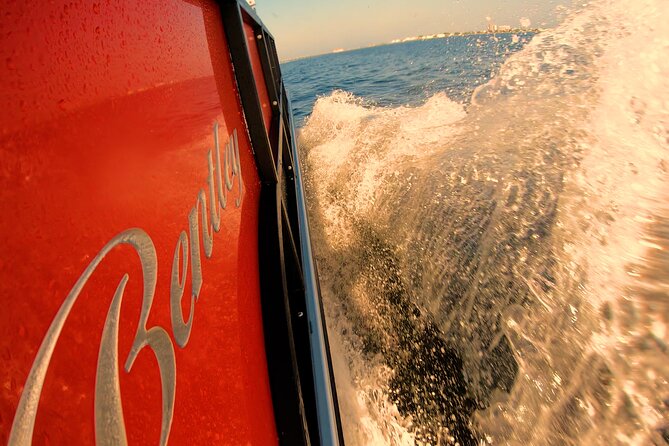 Frisky Mermaid Pontoon Boat Rentals in Pensacola Beach - Exploring Pensacola Beach by Pontoon