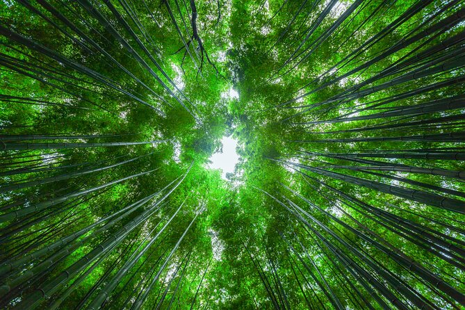 From Osaka or Kyoto: Full Day Sightseeing Tour of Kyoto - Exploring Kyotos Iconic Landmarks