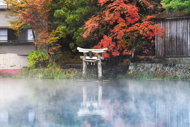 Fukuoka Day Trip to Yufuin, Beppu Hell Onsen and Animal Park - Special Considerations