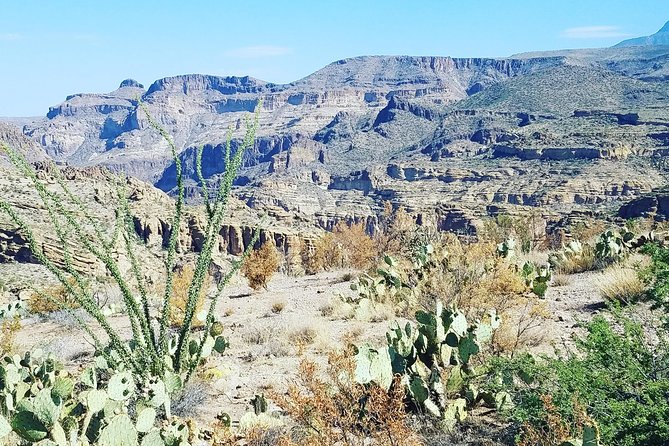 Full Day Apache Trail Adventure Tour From Scottsdale - Customer Reviews