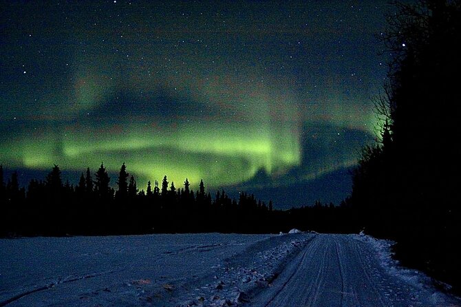 Full Day Fairbanks to Denali Winter Adventure Tour - Pickup Information