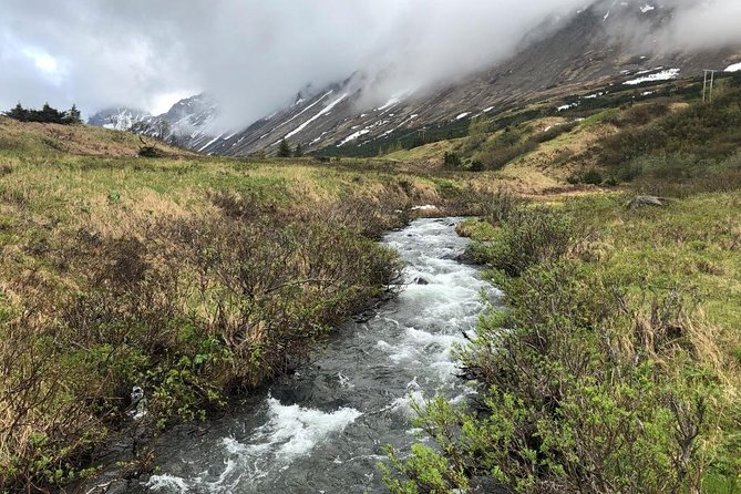 Full Day Hiking Adventure - Customer Reviews and Experiences