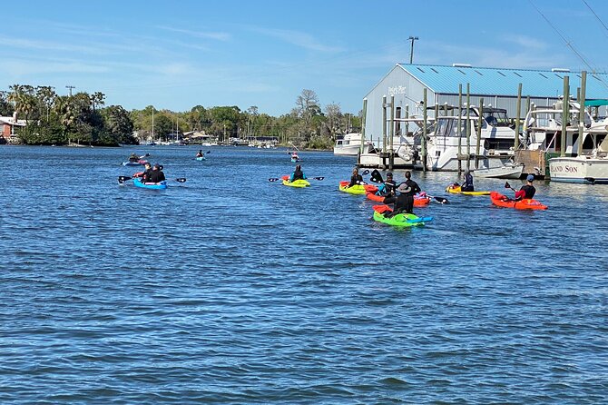 Full Day Single Kayak Rental In Crystal River - Wildlife Sightings