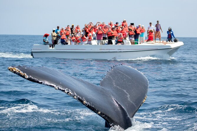 Go City: Los Angeles Explorer Pass – Choose Any 2, 3, 4, 5 or 7 Attractions