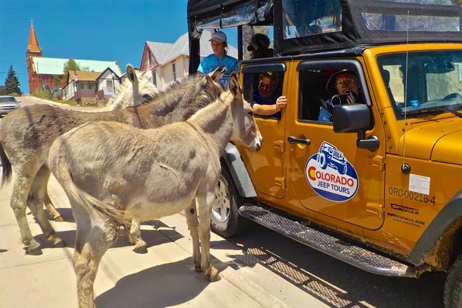 Gold Belt Scenic Byway Jeep Tour From Cañon City - Breathtaking Views From 11,000 Feet
