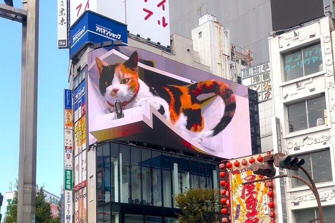 Gotokuji Cat Temple Shinjuku Cat Cafe and 3D Cat Tour - Pricing and Cancellation Policy