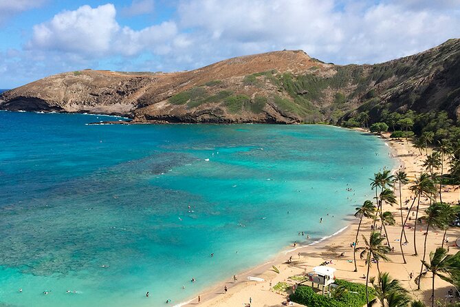 Grand Circle Island and Haleiwa 9 Hour Tour - Traveler Reviews and Feedback