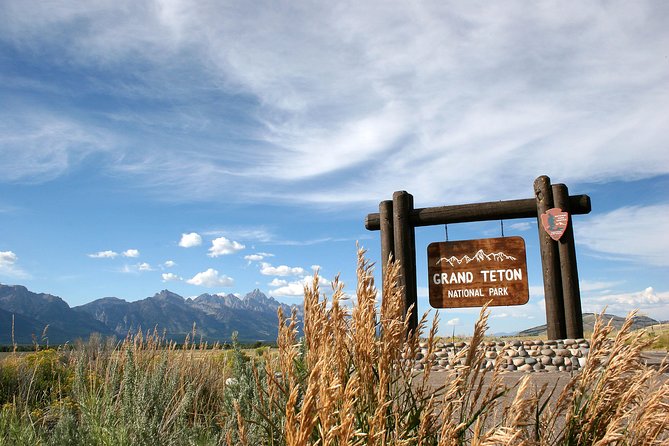 Grand Teton Wildlife Safari Tour - Reviews and Ratings