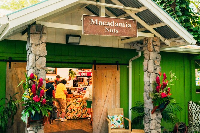 Grand Tour Around Oahu- Swim at Waterfall & Turtle Beach - Inclusions and Amenities