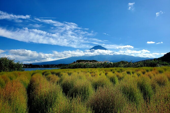 Guided 2 Days Mt. Fuji and Hakone Tour GREEN NUMBER PLATES - Itinerary Details