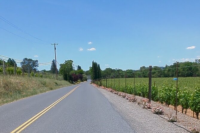 Guided Electric Bike Wine Tour Through Sonoma County - Wine Tasting Options