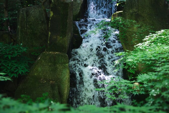 Guided Garden Walk: Nagoya Castle, Gardens & Historic Estate - Sencha Experience