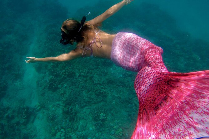 Guided Mermaid Snorkel Experience, Free Videos in West Palm Beach - Health and Safety Guidelines