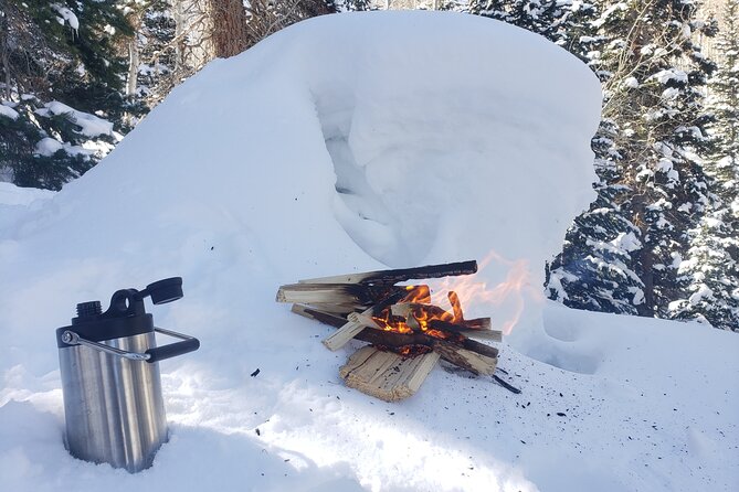 Guided Uinta Forest 3-Mile Hike W/Fire + Lunch/Charcuterie Stop - The Sum Up