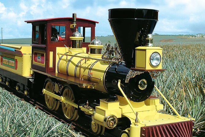 Haleiwa Express & Dole Plantation - Pricing and Cancellation Policy