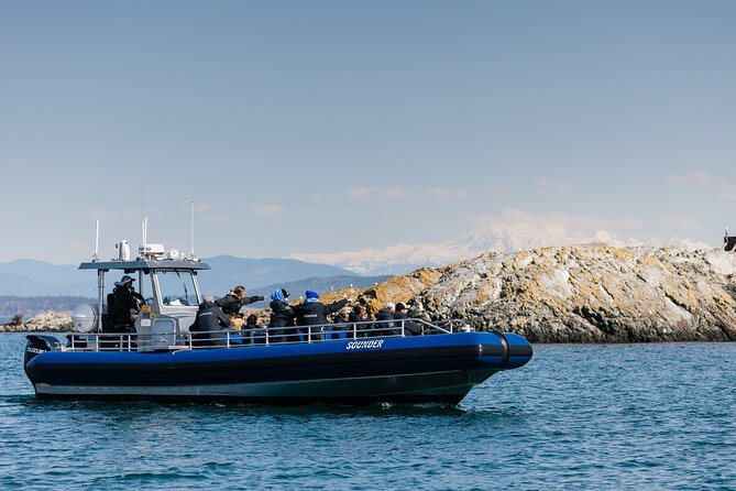 Half-Day Anacortes Whale and Wildlife Watching Guided Adventure - Traveler Reviews