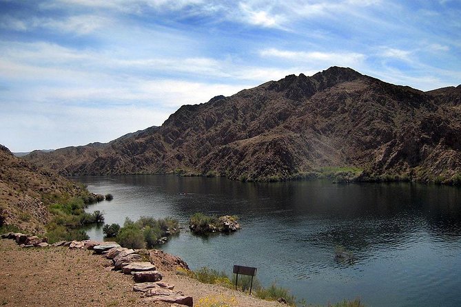 Half-Day Colorado River Paddleboard Trip - Wildlife Observation