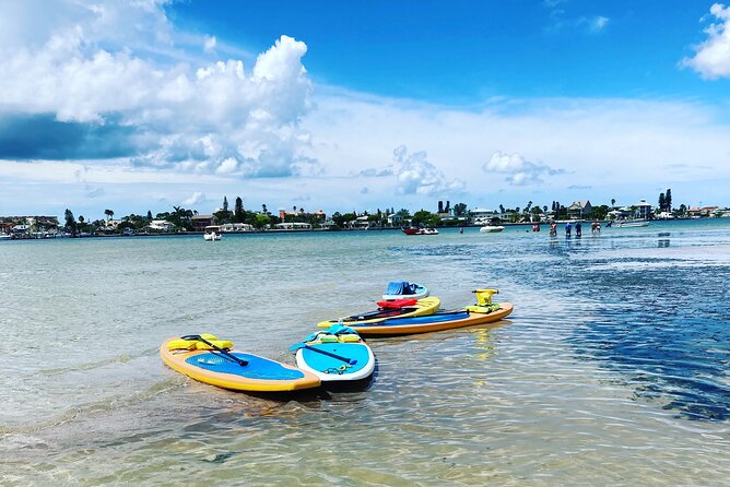 Half Day Excursion to Johns Pass Sandbar & Mangrove Tunnel - Customer Experiences and Feedback