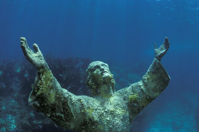 Half-Day Florida Keys Catamaran Snorkel Adventure - Meeting and Logistics