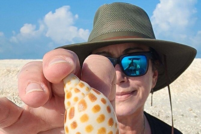 Half Day Keewaydin Shelling and Beach Adventure (Private) - What to Expect on the Shelling Adventure