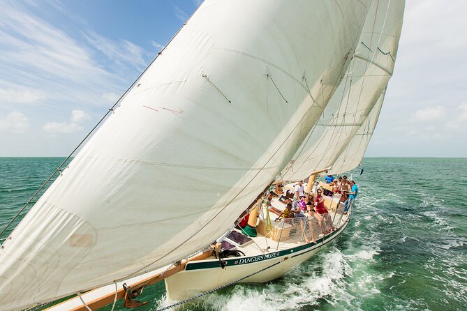 Half-Day Morning Trip From Key West With Kayaking and Snorkeling - Reviews and Feedback