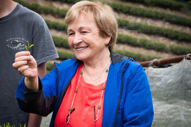 Half Day Nara and Matcha Farm Private Van Tour - Accessibility and Participation