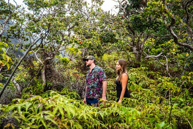 Half Day Private VIP Road to Hana Tour - Booking Information and Policies