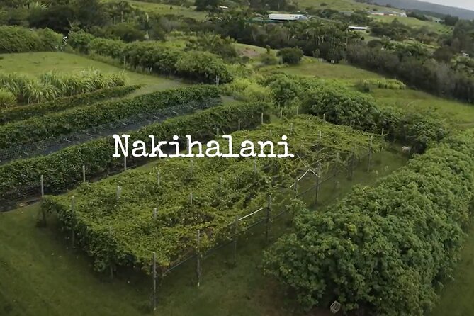 Hamakua Coast Farm Small-Group Walking and Tasting Tour - Health and Accessibility Information